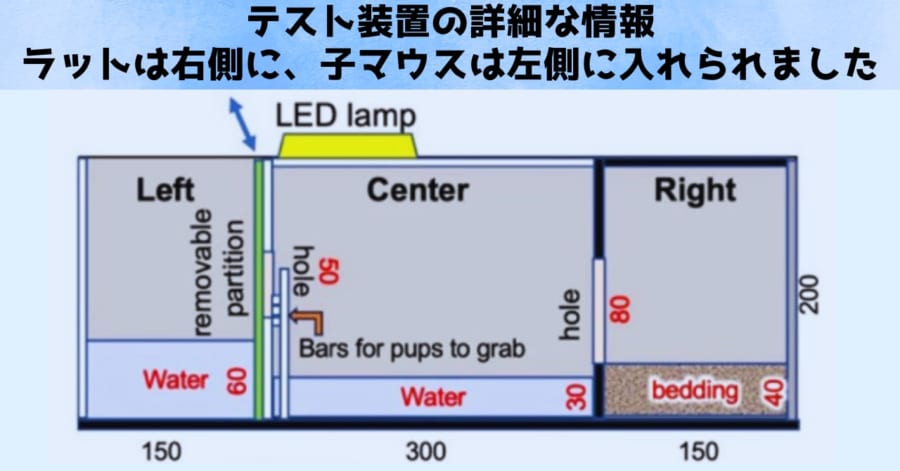 テスト装置の詳細な設計図