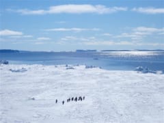 探検家志望から南極の地質研究へ——海底堆積物が語る地球の未来【ナゾロジー×産総研　未解決のナゾに挑む研究者たち】の画像 11/11
