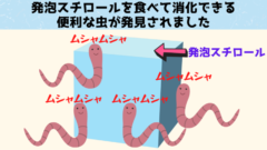 アフリカ初「プラスチックを食べるスーパーワーム」をケニアで新発見！の画像 3/5