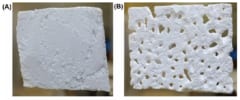 アフリカ初「プラスチックを食べるスーパーワーム」をケニアで新発見！の画像 4/5