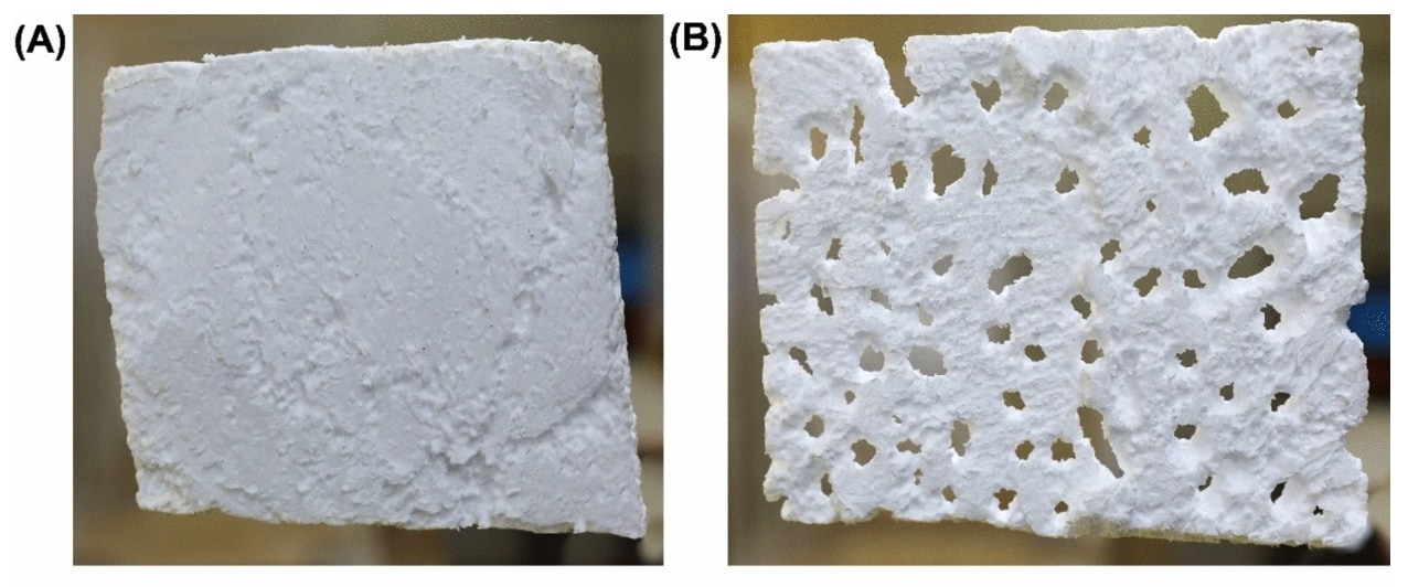 アフリカ初「プラスチックを食べるスーパーワーム」をケニアで新発見！の画像 4/5