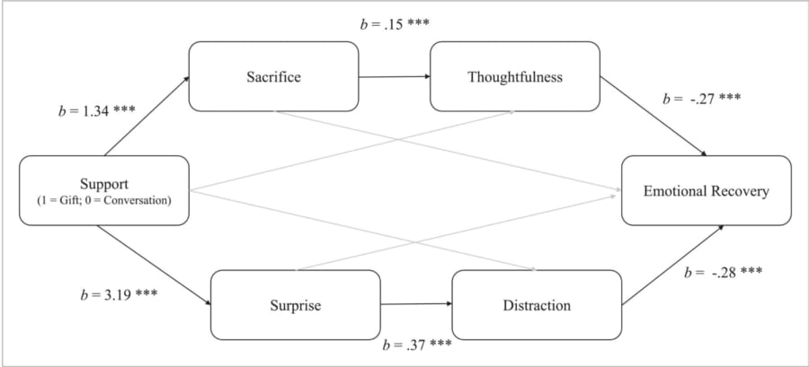 贈り物が感情の回復に与える過程には2つの経路があると判明