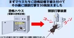 4コマで恐怖ハウスとされた電撃装置（左）と頭部に打撃を与える専門の装置（右）