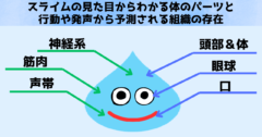 動物の見た目だけでも多くのことを学べます