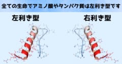 既存の生命のアミノ酸やタンパク質は左利き型です