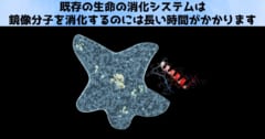 鏡像分子を持つ生物を消化するのは困難です