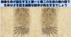 異なる生命の樹に属する生命は互いを食べることができない