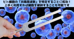 ヒト細胞の「共鳴周波数」を特定することに成功！――利用すれば細胞破砕も可能