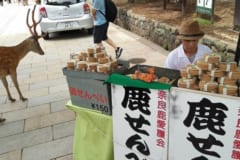 奈良公園のシカは野生だが、鹿せんべいの販売だけは許されている。これは主食ではなくおやつ