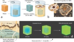 【暗闇で光る魔法の木材】菌類の生物発光を付与することに成功の画像 4/5