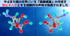 第2位：鏡の世界にいる『鏡像細菌』は絶対に誕生させてはならない【共同声明の発表】