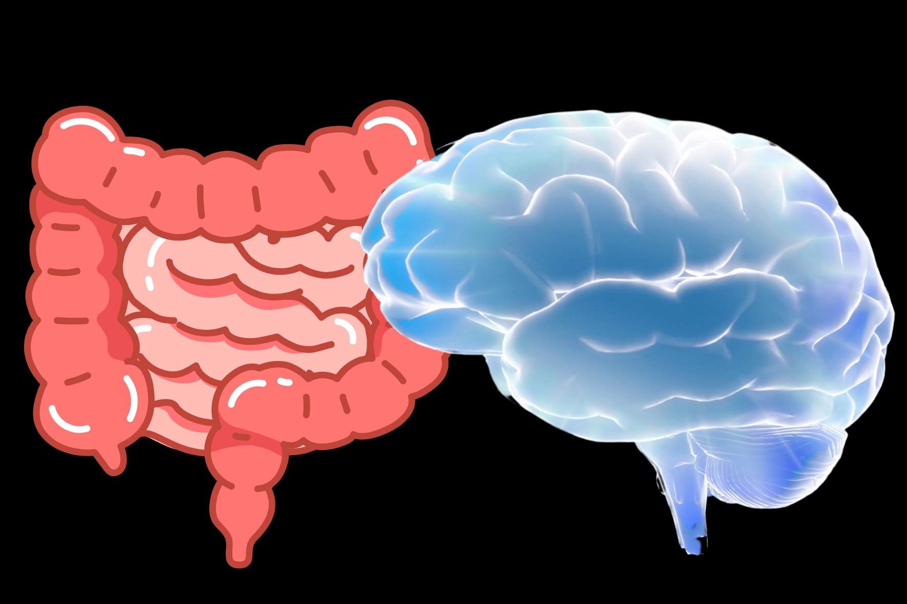 人間の脳は「腸内細菌」によって大きくなった