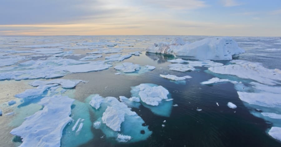 ３年は植え替えしていない 氷山 3年は植え替えしていない 氷山 植え替えできる季節の注意点 -