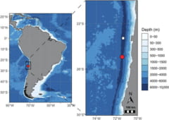 【見た目エイリアン】水深8000mの闇の世界から「新種の捕食生物」を発見！の画像 2/5