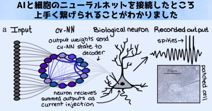 進行波を介したAIと脳の接続は思いのほかスムーズかもしれません。