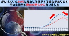 がんリスクは80代以降むしろ低下する場合がある、その理由が判明