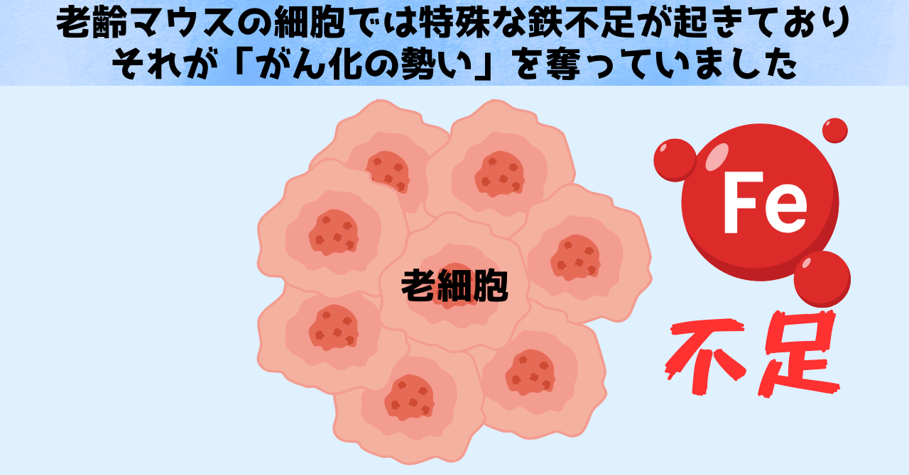 がんリスクは80代以降むしろ低下する場合がある、その理由が判明