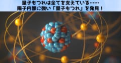 量子もつれは全てを支えている：陽子内部に強い「量子もつれ」を発見！