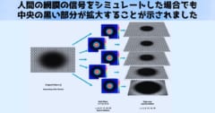 「拡大する穴」の錯視が起こる仕組みを最新研究が解明