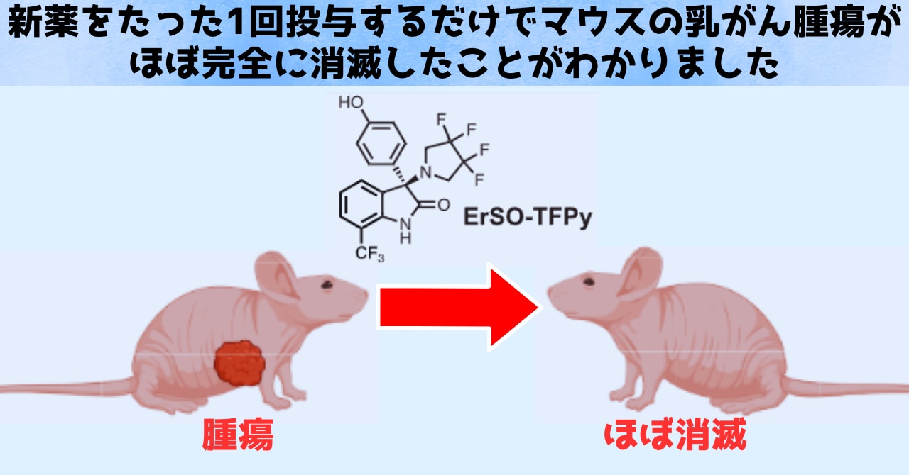 たった1度の投与で乳がんを撲滅する薬を開発