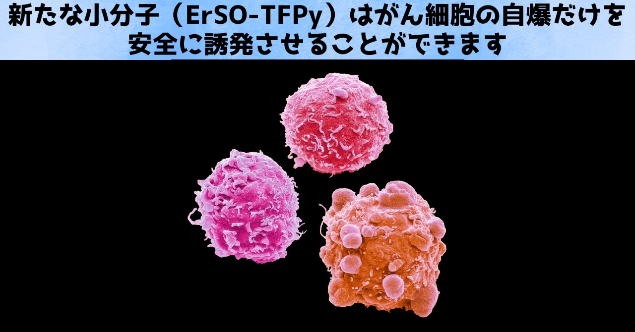 たった1度の投与で乳がんを撲滅する薬を開発