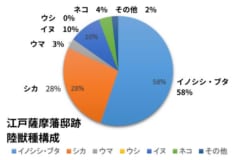 江戸の薩摩藩邸跡地から発掘された動物の骨。圧倒的にブタが多い