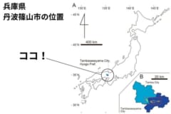 丹波篠山は兵庫県に位置している