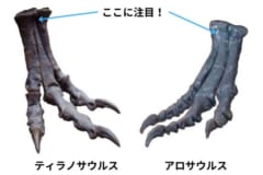 ティラノサウルスとアロサウルスの足の骨の比較