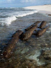 小さな砂の孤島に60人が遭難！15年後に生存者が発見された【トロムラン島の謎】の画像 5/9