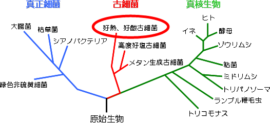 多様な生命が存在するのは地球環境が程よい過酷さを提供してくれたからかもしれません