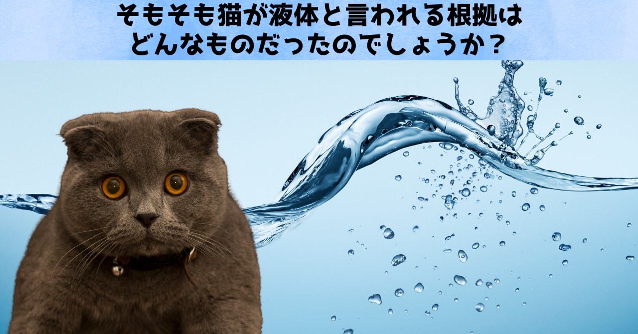 「結局、猫は液体なのか？」主張の根拠をわかりやすく解説