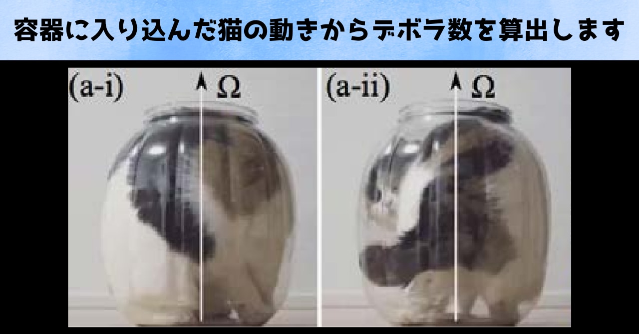 「結局、猫は液体なのか？」主張の根拠をわかりやすく解説