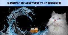 「結局、猫は液体なのか？」主張の根拠をわかりやすく解説