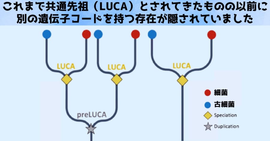 DNA以前の絶滅した遺伝コードの痕跡を発見：私たちDNA組は2番手だった