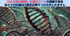 DNA以前の絶滅した遺伝コードの痕跡を発見：私たちDNA組は2番手だった