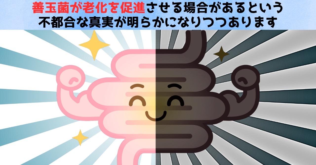 腸内細菌叢の善玉菌も老化を促進する場合がある「不都合な真実」