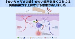 かゆい場所を掻くことには免疫防御力を上昇させる恩恵があった