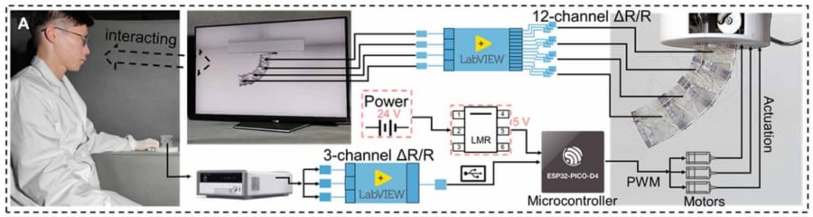 感じる豚ゼラチンでできた生分解性ロボットを開発