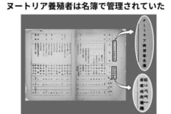 ヌートリアの養殖は各自勝手にやるものではなく、養殖業者は名簿で管理されていた