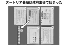 畜産審議会勅令（政令 156 号）原本（国立公文書館所蔵）