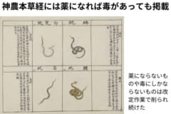 神農本草経には毒でも薬効があれば薬として掲載された