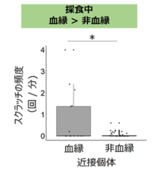 サルにも「仲良しだからこそ緊張してしまう」ことがあると判明！