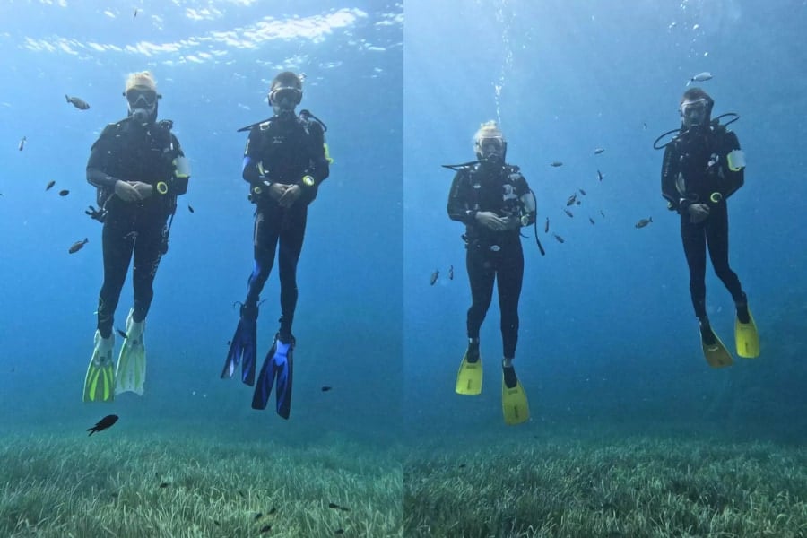 「あ、餌くれる人だ」魚も個々の人間を見分けられると判明！の画像 4/4