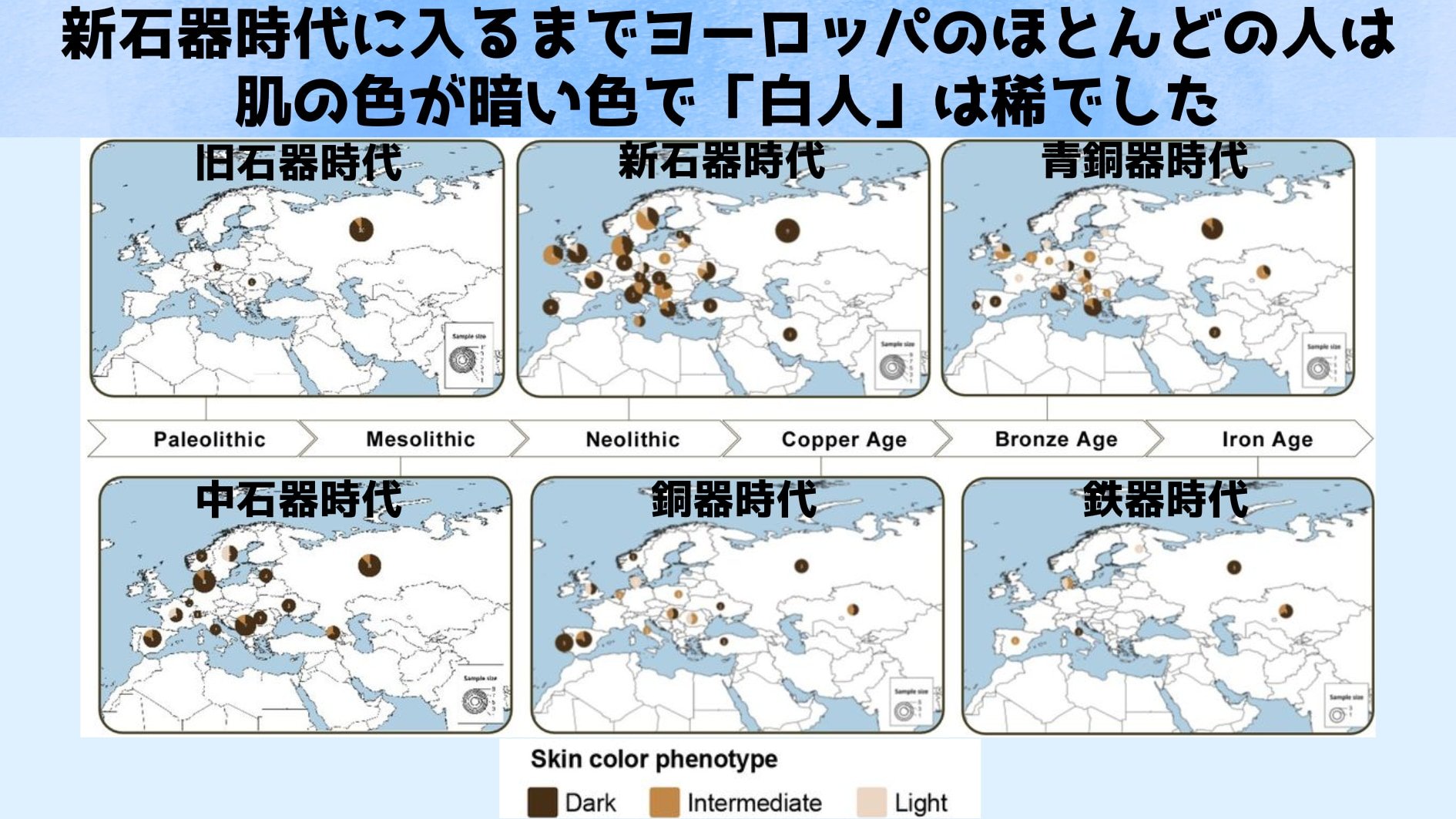 3000年ほど前までほとんどのヨーロッパ人の肌は黒かった