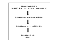 「不規則な生活」そのものが太りやすくする！メカニズムが明らかにの画像 5/5