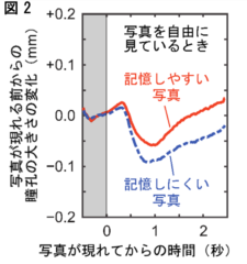 「記憶に残る写真」と「すぐ忘れてしまう写真」の違いは？【瞳がちょっと開く】の画像 5/5