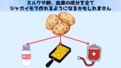 ジャガイモからミルクを搾る？ジャガイモに乳タンパク質を作らせることに成功