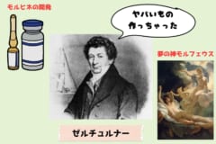 【神の薬アヘン】いかに人類を破滅させる「悪魔の実」となったのか？の画像 8/10