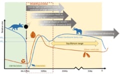 恐竜が絶滅したおかげで「フルーツ」が一挙に進化したと判明の画像 3/3