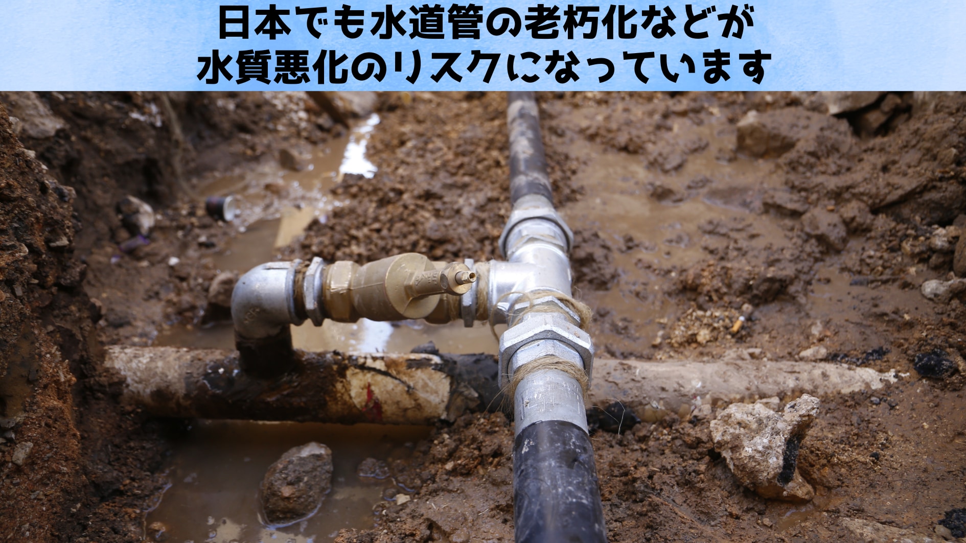 お茶で水道水が変わる!? ティーバッグが有害重金属を吸着する驚きの新発見